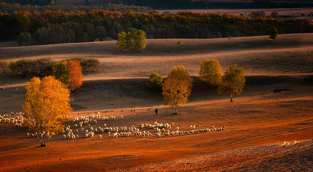 Link to online Thanksgiving service